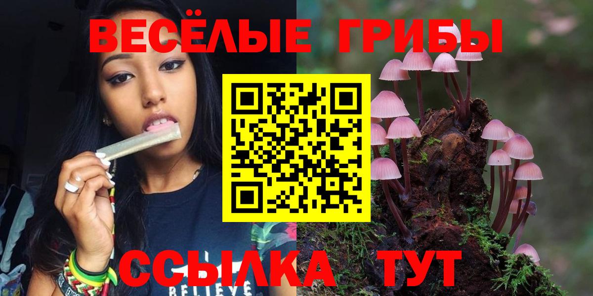 Галлюциногенные грибы прущие грибы Георгиевск