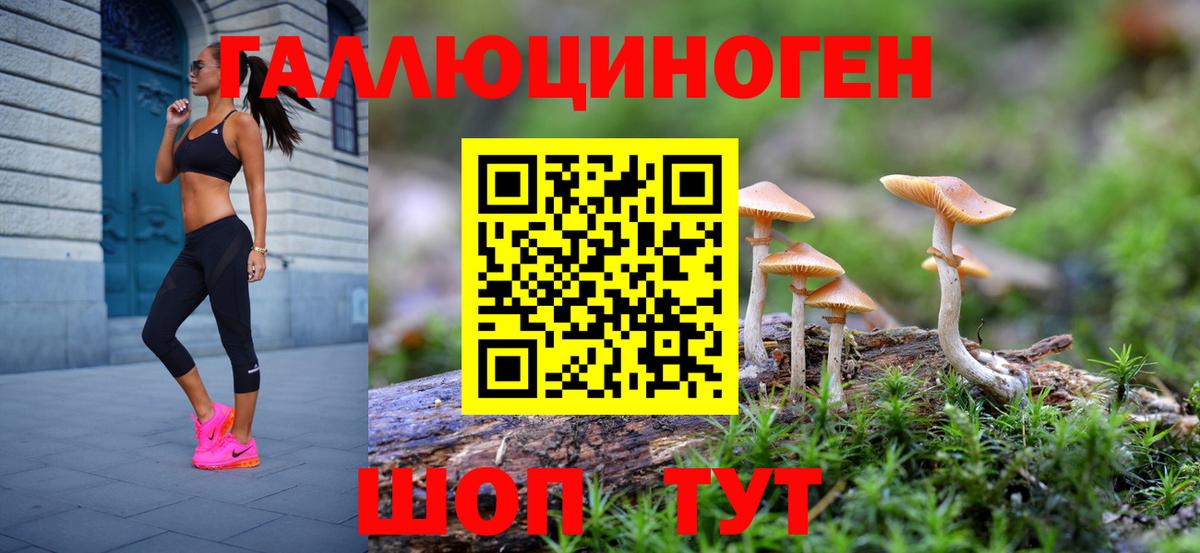 Галлюциногенные грибы Magic Shrooms  Галлюциногенные грибы Cubensis  Вход с VPN  Георгиевск 